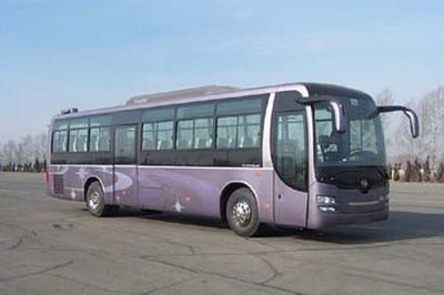 Huanghai  DD6129K63 coach