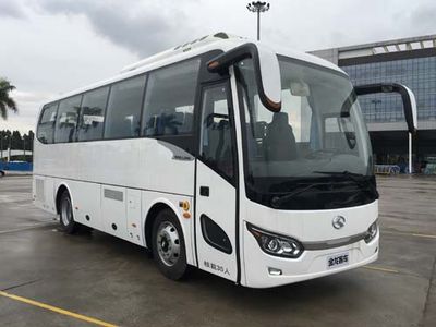 Jinlong  XMQ6802AYPHEVD5 Hybrid electric buses