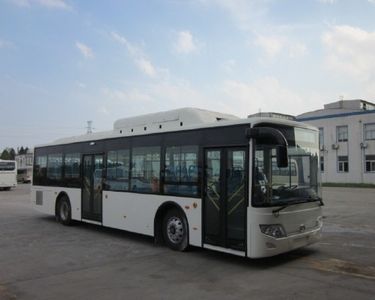 Dongyu  NJL6119GN City buses