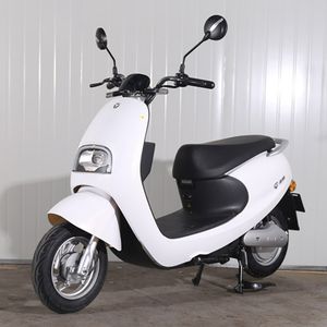 Yadi  YD600DQT7D Electric two wheeled light motorcycle