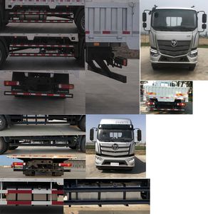 Foton  BJ1186VKPFK1M Truck