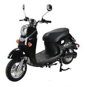 Liangsu  LS500DQT Electric two wheeled light motorcycle