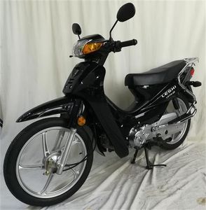 New  XB1102D Two wheeled motorcycles