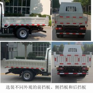 Shifeng  SSF3041DDW321 Dump truck