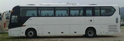 Jinlong  XMQ6125BYN5B coach