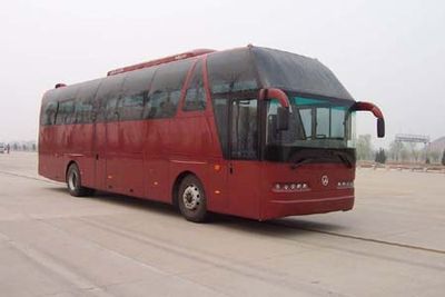 Mustang SQJ6120D1H coach