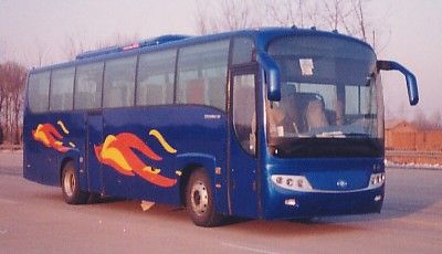 Huanghai  DD6115K20 Tourist buses