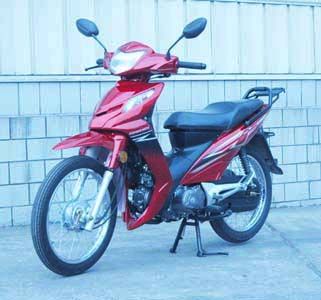 Zongshen brand automobiles ZS11061 Two wheeled motorcycles