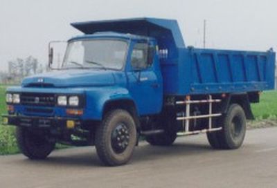 Ace carCDW3106BDump truck