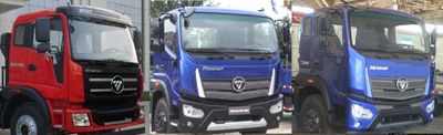 Foton  BJ3315DPPHCFA Dump truck