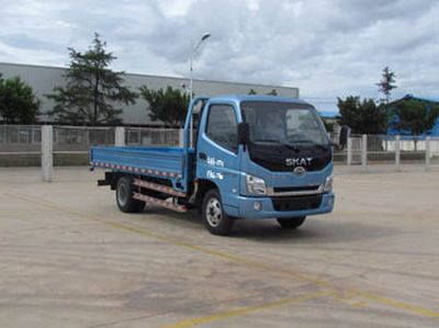 Skart LFJ1041T3 Truck