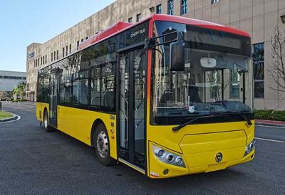 Wanda WD6117BEVG02Pure electric city buses