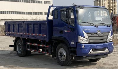 Foton  BJ3164DLPDA02 Dump truck