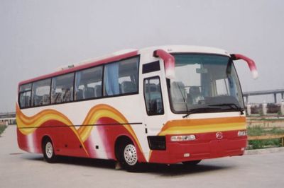 Feichi FSQ6102CYTourist buses