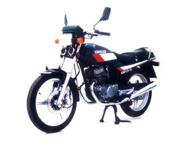 Qingqi  QM12512 Two wheeled motorcycles