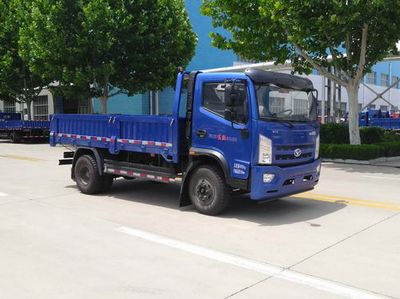 Shifeng SSF3096DHJ55Dump truck