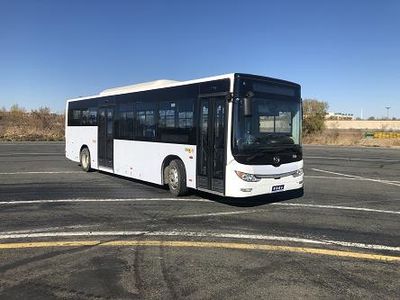 Huanghai  DD6109EV17 Pure electric city buses