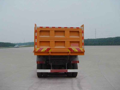 Dayun  DYX3310WN3X Dump truck