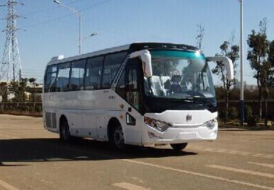 Dongfeng  EQ6810PH9 coach