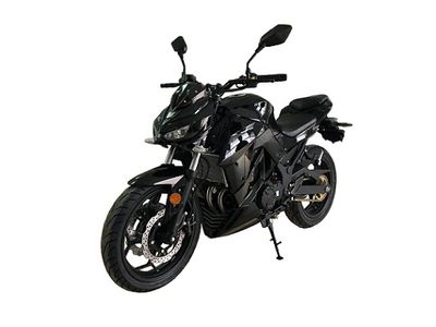 Shanyang  SY2503H Two wheeled motorcycles