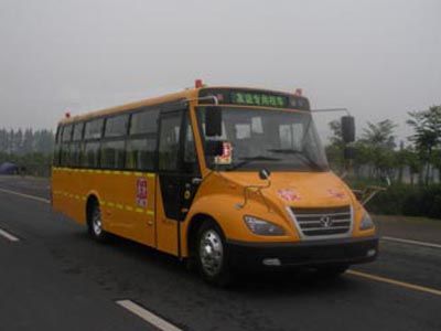 Friendship ZGT6960DVXSchool buses exclusively for primary school students