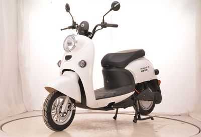 Spozman SP600DQTA Electric two wheeled light motorcycle