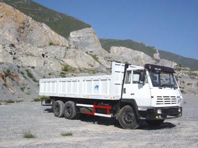 Tianniu  TGC3326 Dump truck